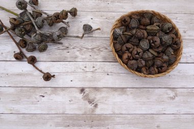 Kaba ahşap arka planda yer alan okaliptüs çerezleri doğal organik dokular sunar. Avustralya flora konsepti