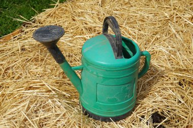 Plastik sulama tenekesi, bahçedeki toprağı ve bitkileri koruyan kalın bir altın saman tabakasında duruyor.