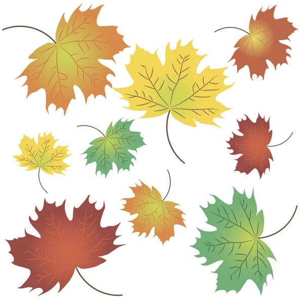 Hojas de arces de otoño — Vector de stock