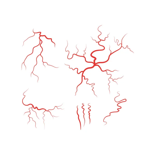 Veines humaines ensemble de vaisseaux sanguins rouges vecteur — Image vectorielle