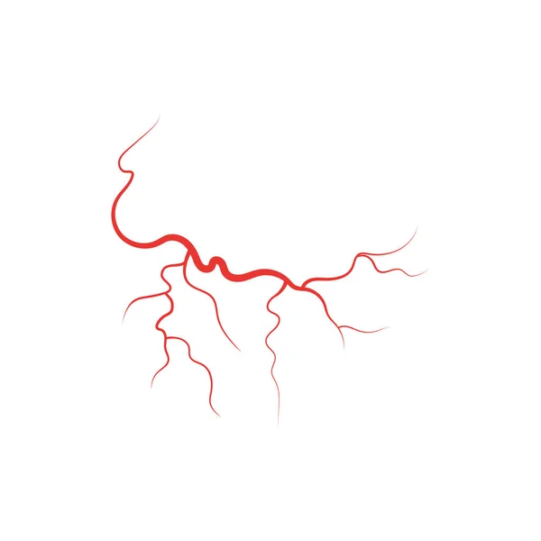 Venas humanas rojo vaso sanguíneo vector ilustración — Vector de stock