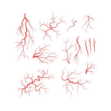 İnsan damarları kırmızı kan damarı vektör belirledi