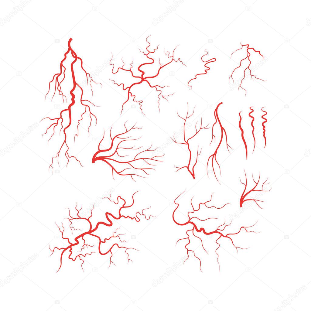 Human veins red blood vessel set vector