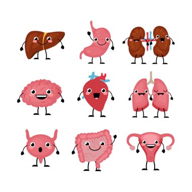 Happy smiling cute organ characters in a flat cartoon style. Liver, heart, intestines, brain, vagina, bladder,kidneys and lungs.