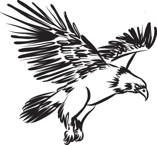 Illustration de contraste volant aigle — Image vectorielle