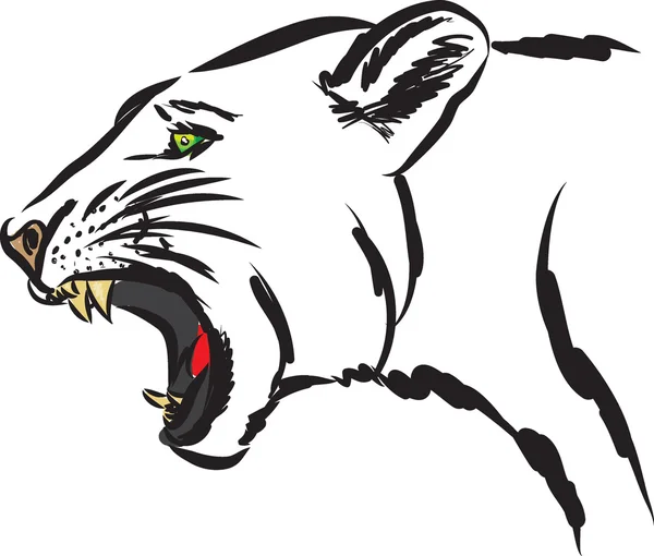 Dziki ilustracja zwierzęta Puma — Wektor stockowy