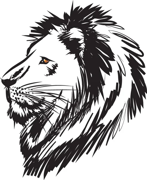 Ilustración cabeza de león salvaje — Archivo Imágenes Vectoriales