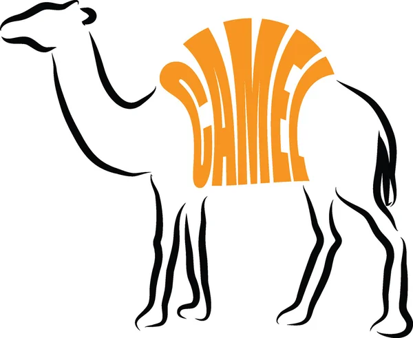 Καμήλα κείμενο εικονογράφηση γράμματα — Διανυσματικό Αρχείο