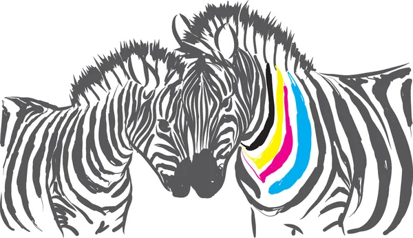 Ilustracja kolor cmyk zebra — Wektor stockowy