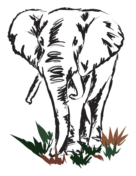 Ελέφαντας βούρτσα ύφος εικονογράφησης — Διανυσματικό Αρχείο