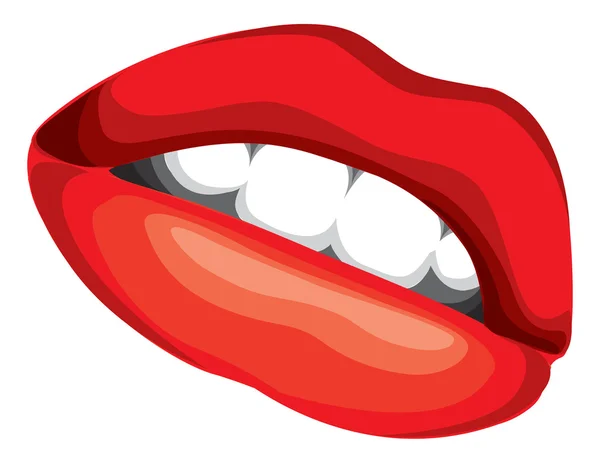 Nő vörös ajkak illusztráció — Stock Vector