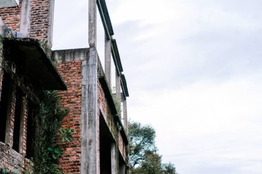 Kırmızı tuğla duvarları ve beton iskeleti olan terk edilmiş eski bir bina gözle görülür bir şekilde çürüyor, şimdi yemyeşil bitkiler ve sarmaşıklar bulutlu gökyüzüne doğru uzanıyor..