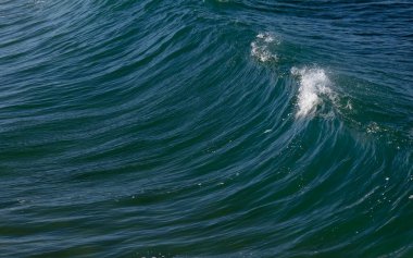 Nazare, Portekiz 'deki güzel dalgaların manzarası