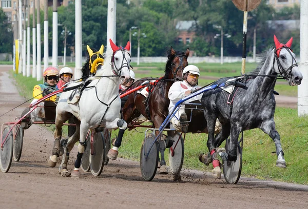 Trotar carreras de caballos en el hipódromo — Foto de Stock