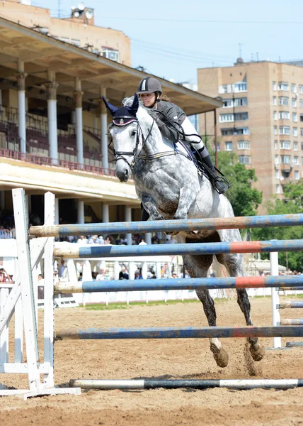 Ragazza su un cavallo grigio saltando altezza — Foto Stock