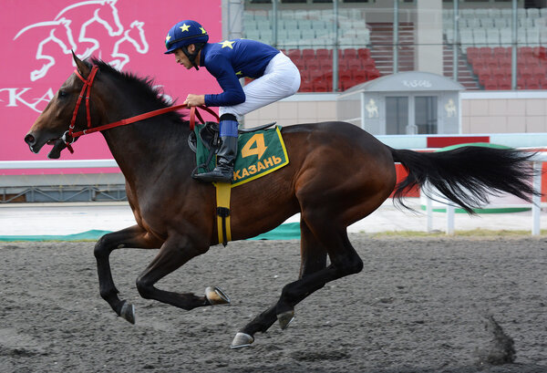 Жокей на породистой скаковой лошади
