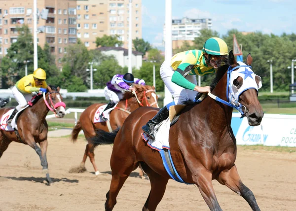 Thoroughbred horses in racing — Stock Photo, Image