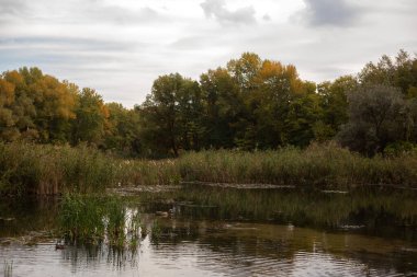 autumn lake with reflection in the water, nature