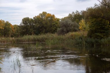 autumn lake in the fall
