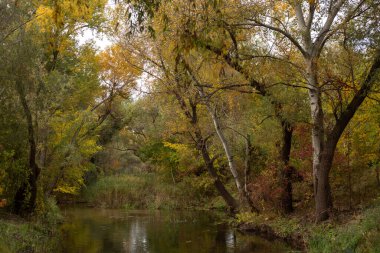 autumn landscape with a river and a small river