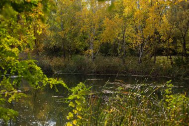 autumn landscape with river and colorful foliage.