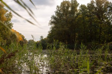 Sonbaharda göl manzarası.