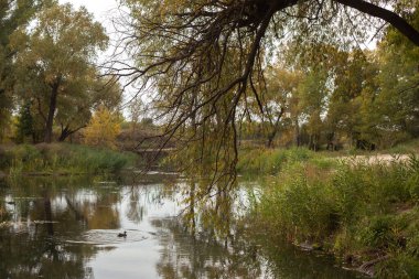 Parkta bir nehir olan sonbahar manzarası