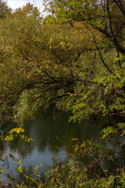 Parktaki nehrin güzel manzarası