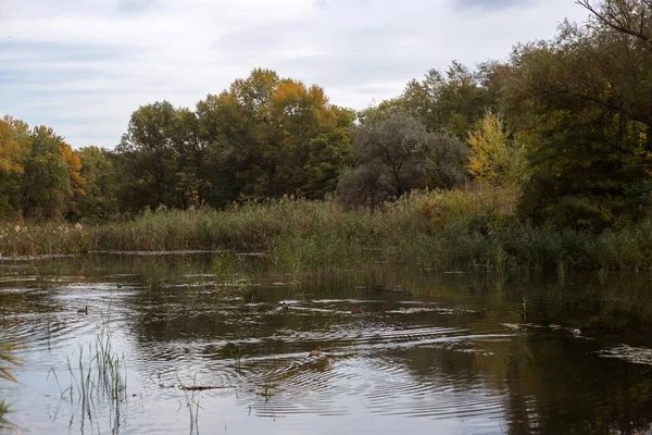 autumn lake in the fall