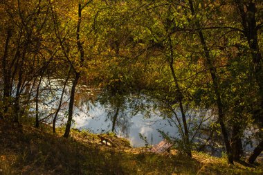 Parkta renkli yaprakları olan sonbahar ağaçları