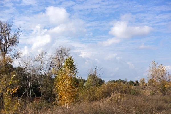 sonbaharda güzel orman