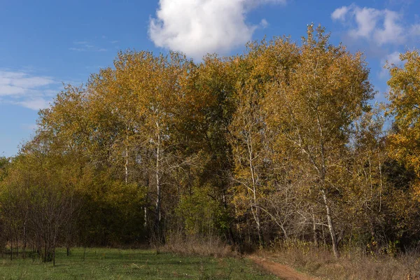 Sonbahar manzarası. İlk sezonun son günleri..