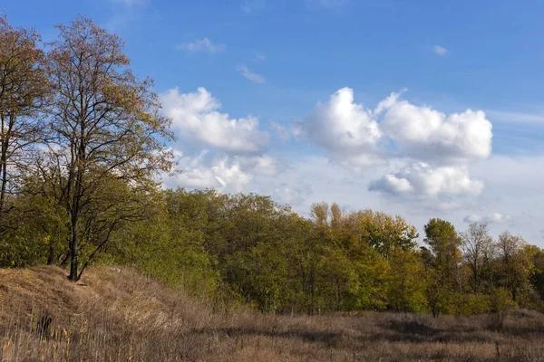 Ağaçlarla dolu bir sonbahar manzarası