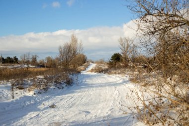 Karla kaplı ağaçlarla kaplı kış manzarası