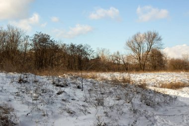 Karla kaplı ağaçlarla kaplı güzel kış manzarası