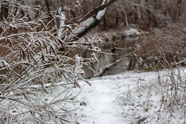 Donmuş gölü olan kış manzarası