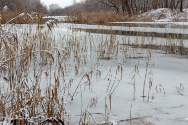 Arkasında bir göl olan güzel bir manzara.
