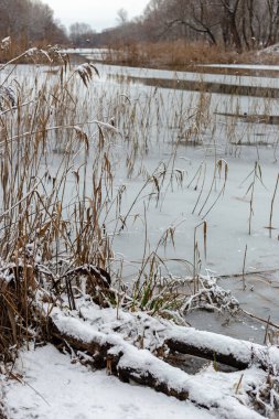 Ormandaki Kış Gölü
