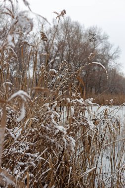 Kışın donmuş nehir
