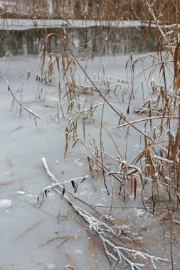 Güzel bir kış manzarası