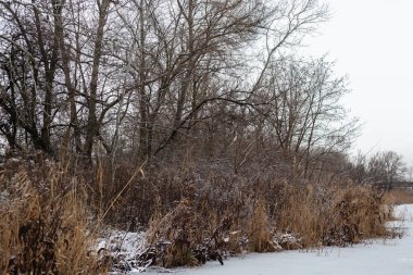 Karda kış manzarası