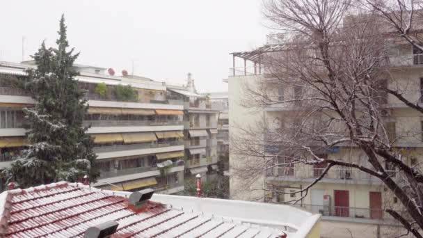 平地のブロックで住宅街に降る雪の木に囲まれている ギリシャテッサロニキ市内中心部の豪雪 — ストック動画