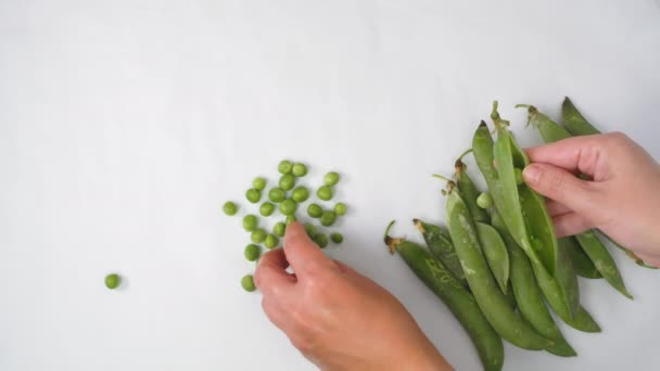 用手上观清洁新鲜豌豆 在白色背景下 关闭女性开启的绿色豆荚容器 取出可食用的小种子 放置在平坦的表面 — 图库视频影像