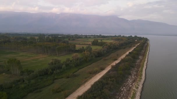 Aéreo Campo Com Árvores Verdes Lado Uma Estrada Terra Lago — Vídeo de Stock