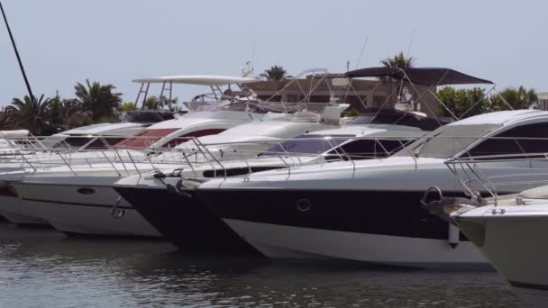 Aangemeerde Luxe Schepen Een Georganiseerde Moderne Jachthaven Griekenland Dag Uitzicht — Stockvideo