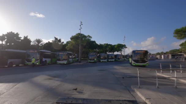 Valletta Málta Tömegközlekedési Buszok Terminálnál Zöld Fehér Dízelkocsik Desztinációs Kijelzőkkel — Stock videók