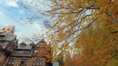 Pelisor Şatosu, Romanya - 01 Kasım 2023: Renkli sonbahar ağaçları arasında karmaşık ahşap mimari ile gün dışı.