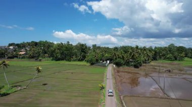 Sri Lanka 'daki çeltik tarlaları bir İHA tarafından vuruldu. Yüksek kalite 4k görüntü
