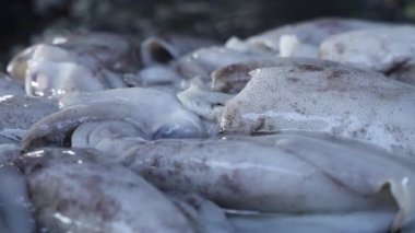 Asya ülkelerindeki sokak balığı pazarı. Yüksek kalite 4k görüntü