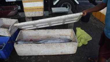 Asya ülkelerindeki sokak balığı pazarı. Yüksek kalite 4k görüntü